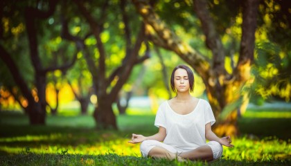 开云电竞平台-谢菲联稳健防守，刀锋战士全力保级，谢菲联队