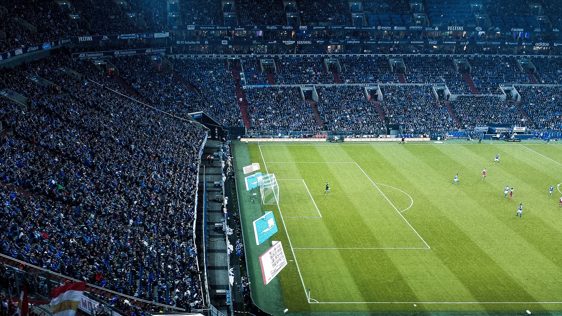 球迷热议：联盟最具潜力的“新星兵团”，新星战队官网